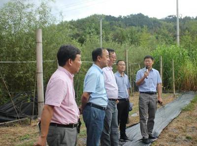 青年風采錄 | 郭彬 赤誠守護大地，讓每一寸耕地安全綻放