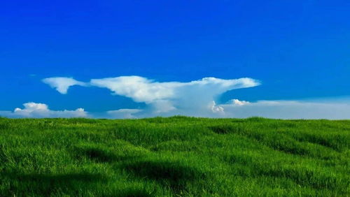 土壤污染防治法草案三審 扎實(shí)推進(jìn)凈土保衛(wèi)戰(zhàn)，土壤污染治理任重道遠(yuǎn)