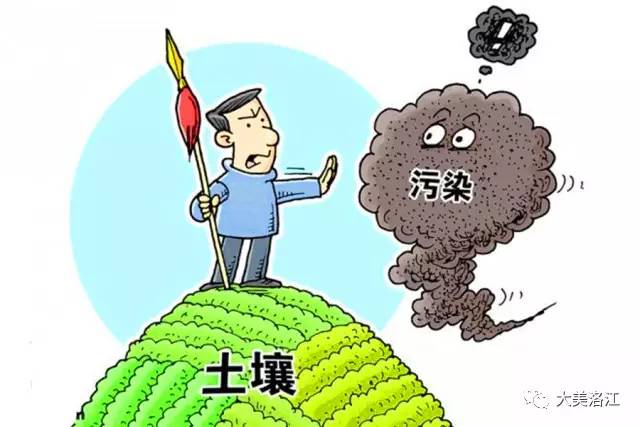 守護(hù)沃土良田，筑基智造新城——洛江區(qū)出臺土壤污染防治工作方案，為生態(tài)新城區(qū)建設(shè)提供堅(jiān)實(shí)保障