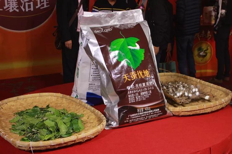 植物龍開啟蠶沙改土新紀元 專家團領航土壤治理新賽道